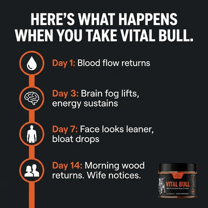 Vital Bull – Male Beef Organ Complex