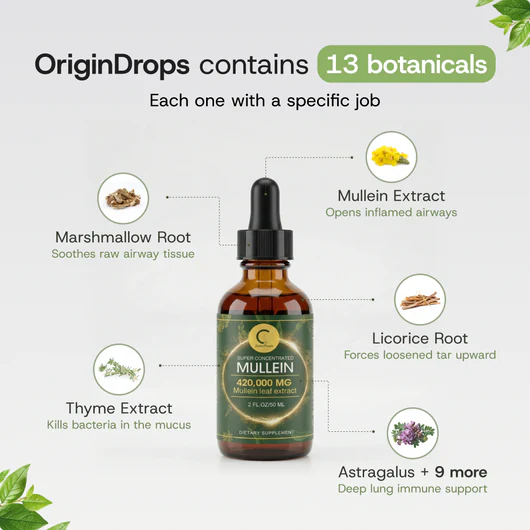 Concentrated Mullein Drops New Formula