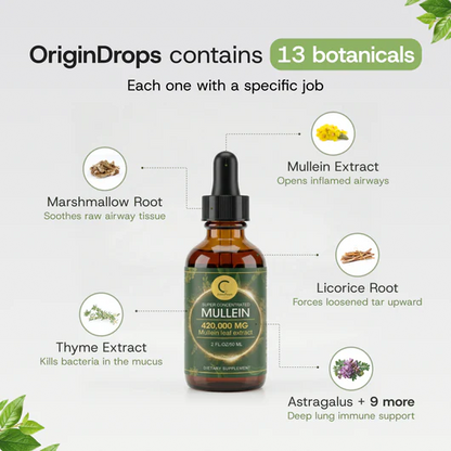 Concentrated Mullein Drops New Formula